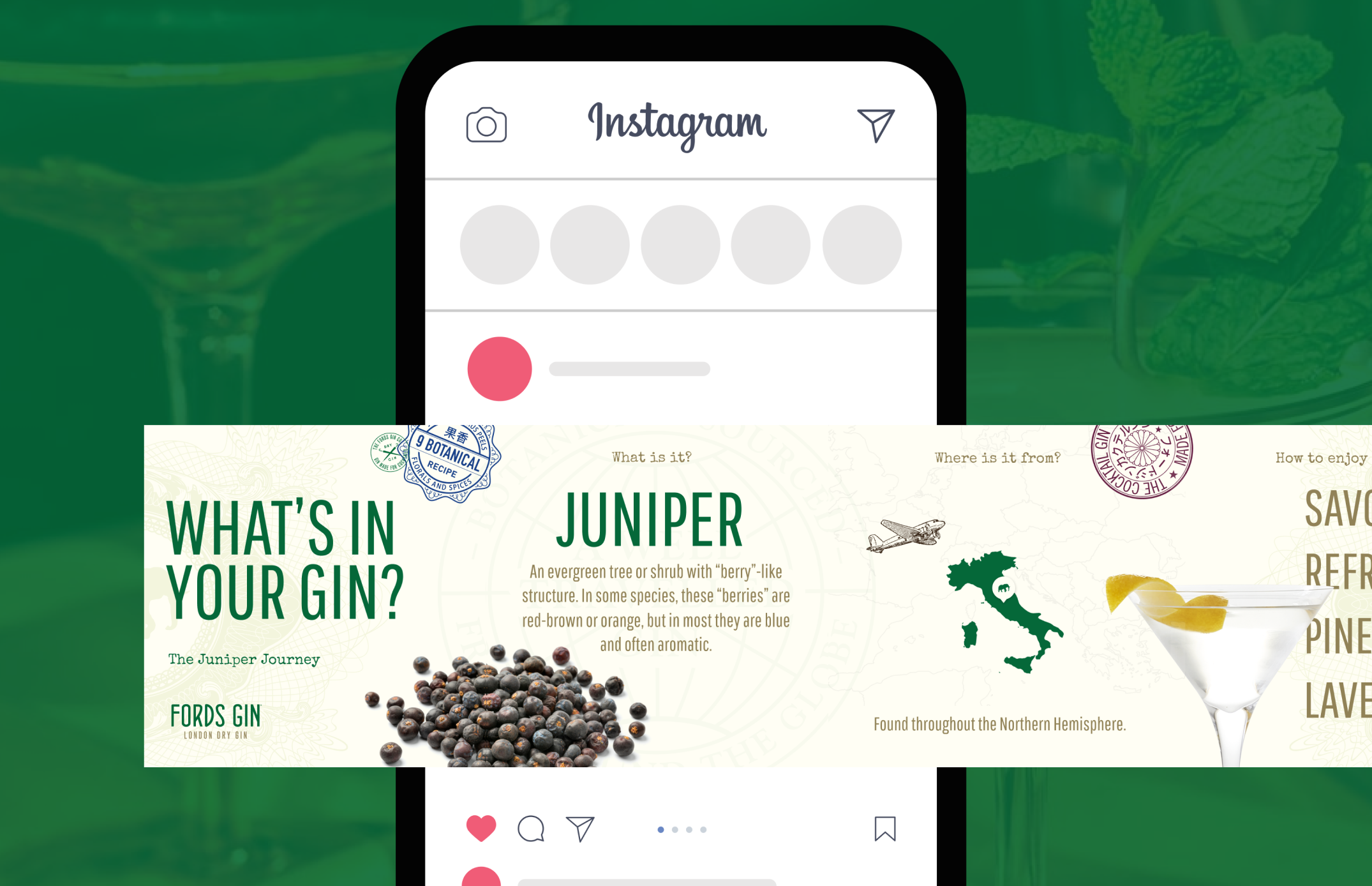 Fords Gin social media campaign "What is in your gin?"