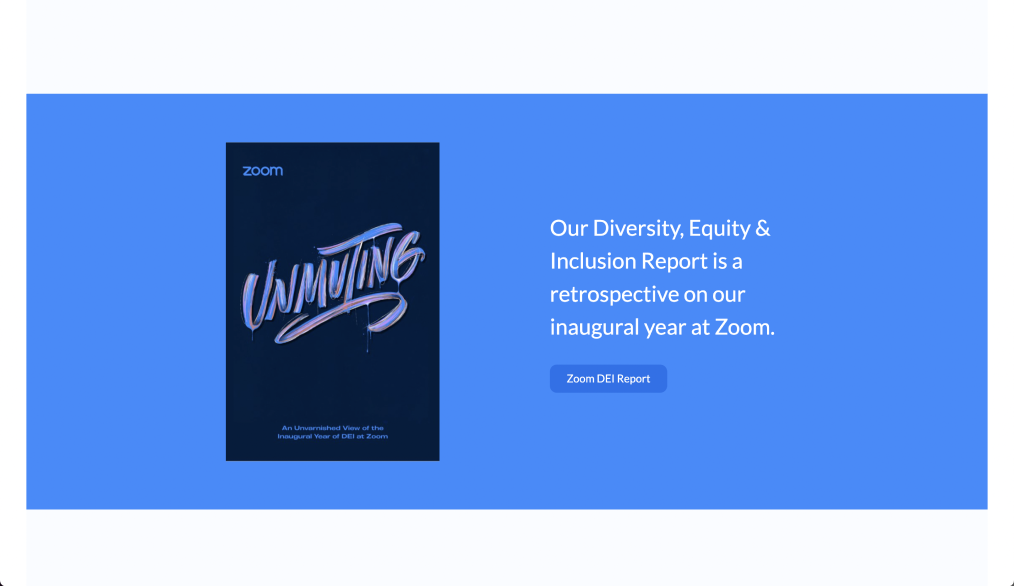 A screenshot of the Zoom Diversity, Equity & Inclusion report