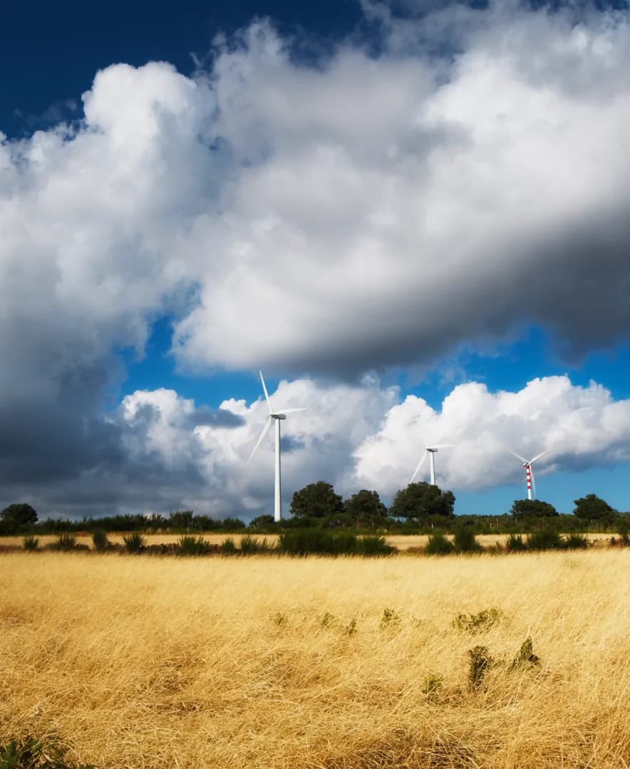Tall white clouds in a deep blue sky over a golden field, wind turbines on the horizon.