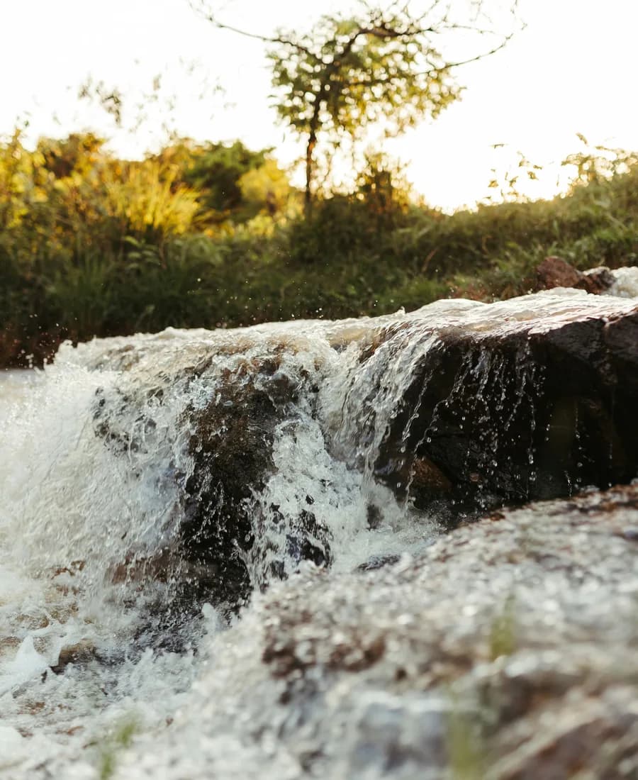 Water rushing over rocks below a tree in late sun.