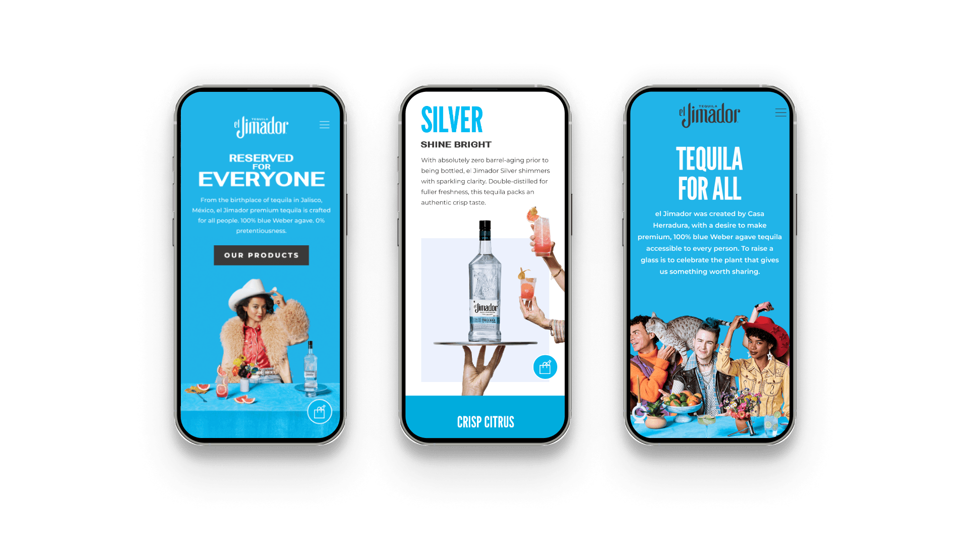 Three iPhone mockups showcasing responsive mobile experience across key pages