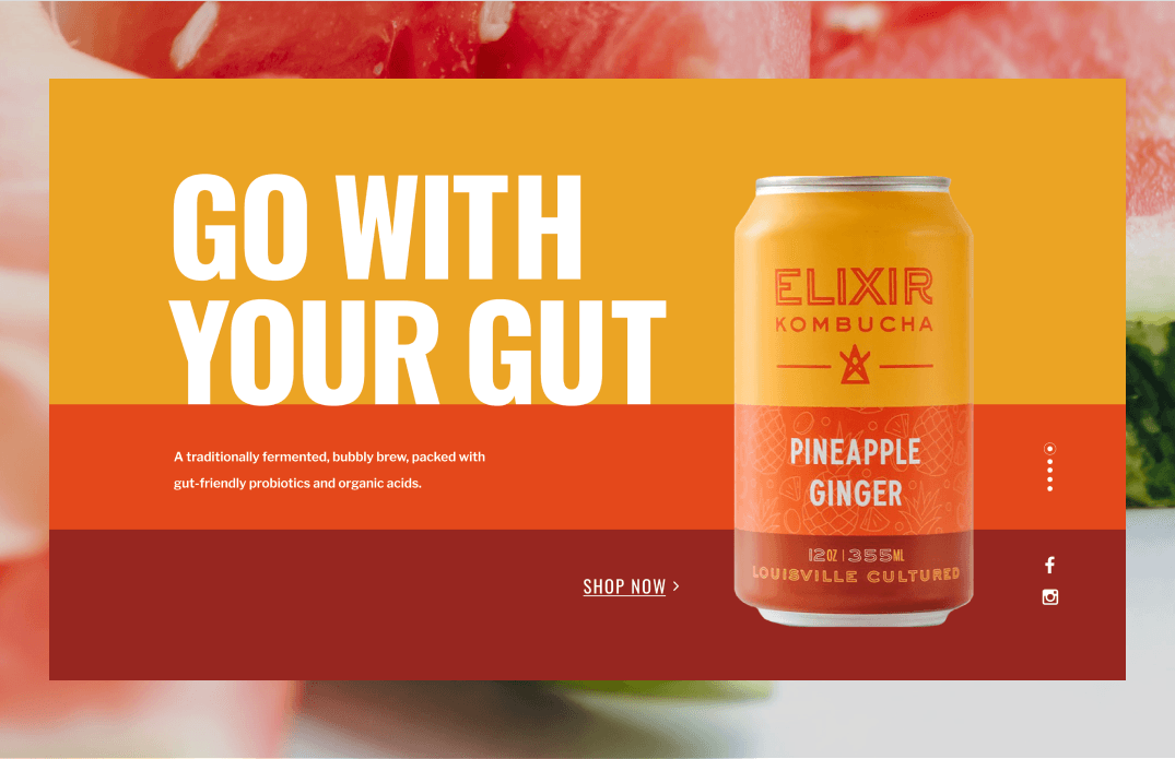 Website hero section mockup with Go With Your Gut headline and Pineapple Ginger kombucha can on warm gradient background