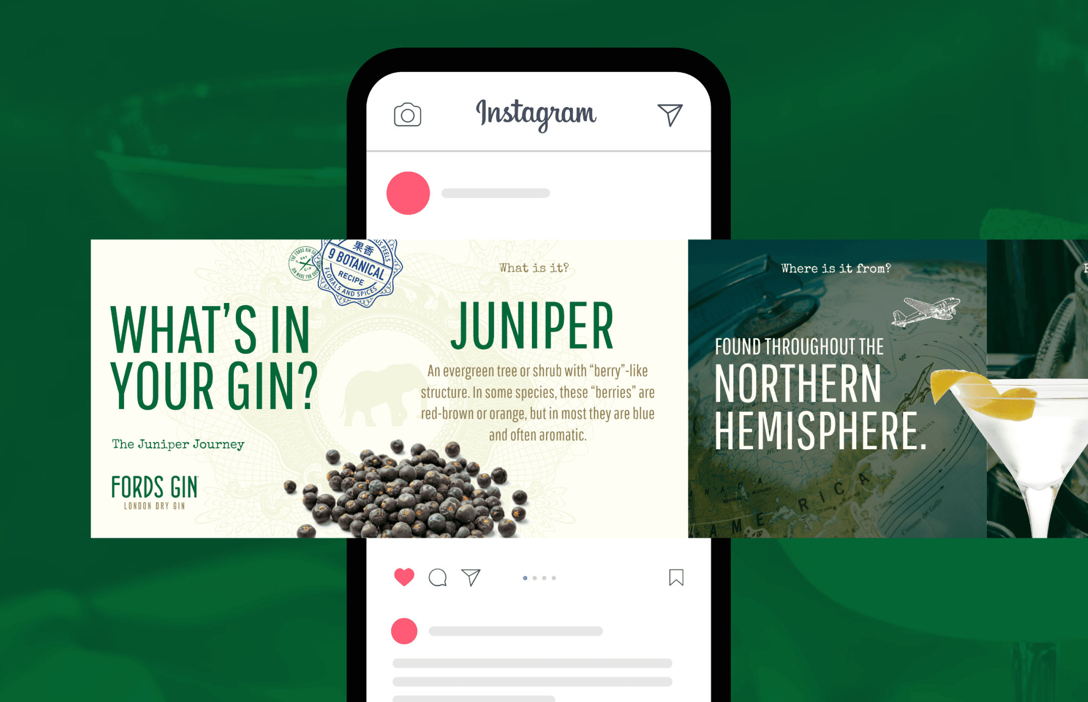 Instagram carousel ad mockup featuring juniper botanical education content for The Juniper Journey campaign