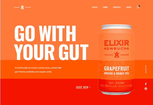 Website hero section mockup with Go With Your Gut headline and Grapefruit Hibiscus kombucha can on bright orange background