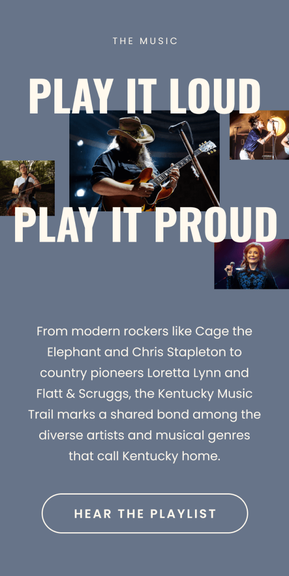 Mobile view of Play It Loud, Play It Proud artists section