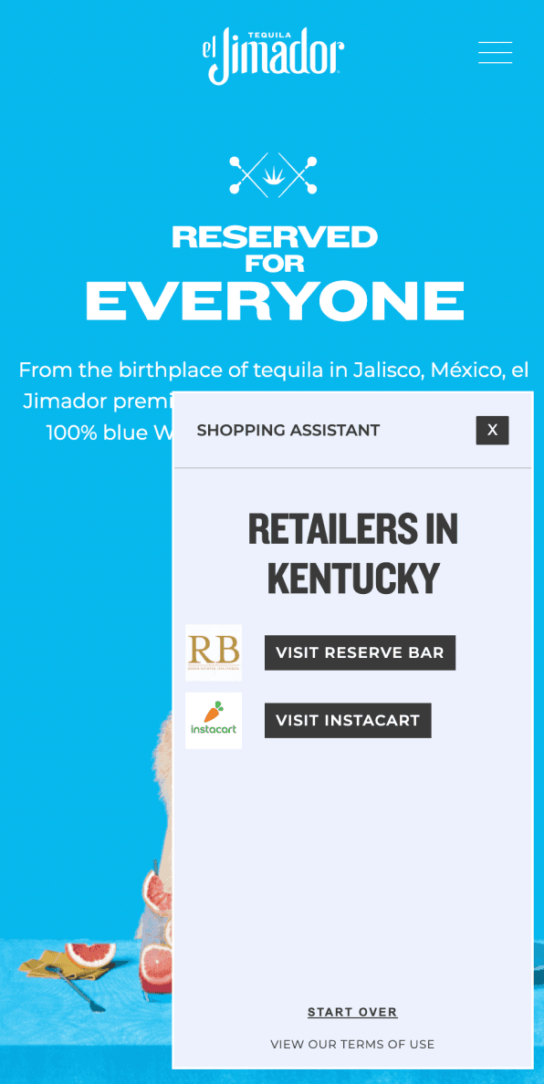 Mobile shopping assistant: retailer results with purchase links