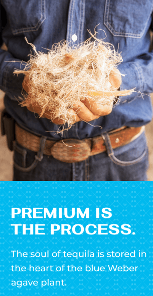 Mobile ‘Premium is the Process’ section highlighting blue Weber agave