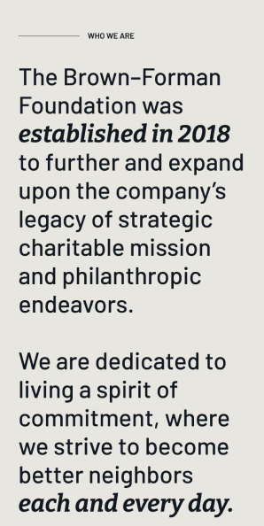 Mobile Who We Are section describing the Foundation established in 2018