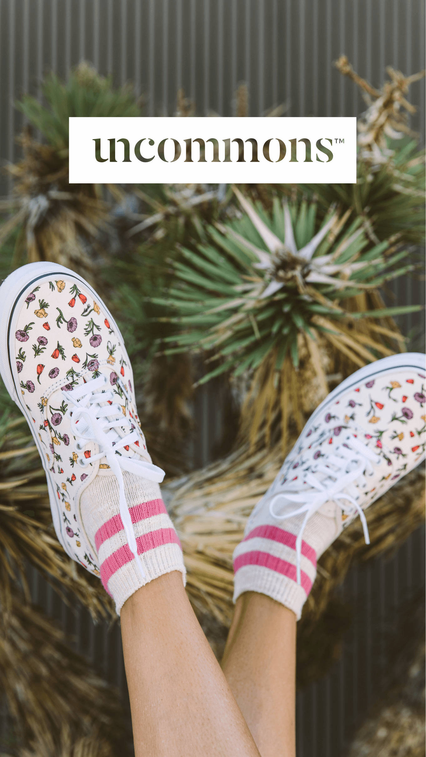 Mobile lifestyle image of colorful sneakers and striped socks against desert plants