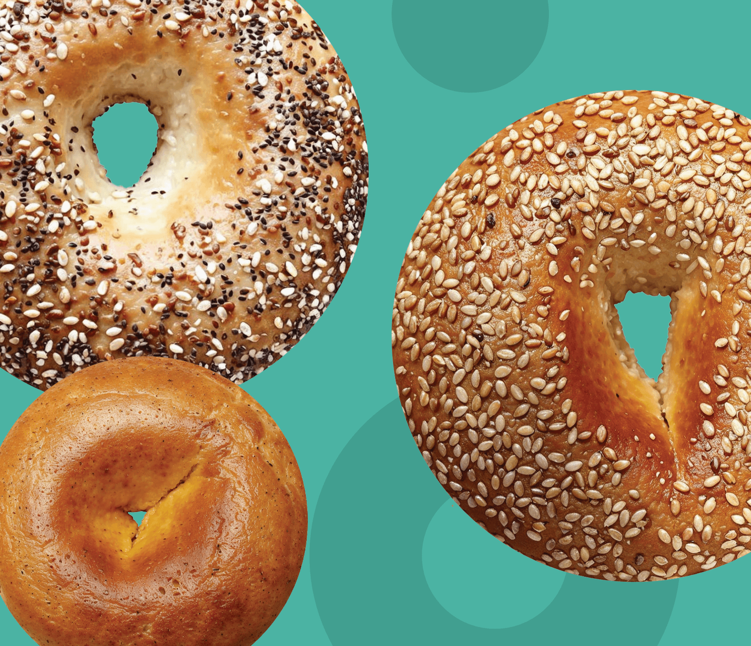 Maya Bagel, project image